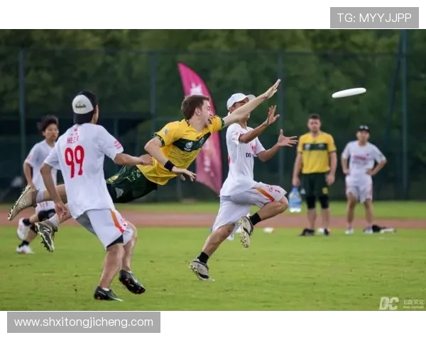 北京飞盘队在比赛中的意识表现与数据分析探讨