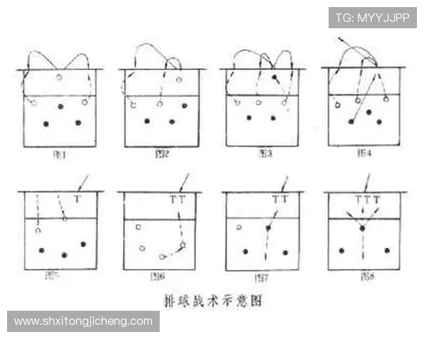 成都排球队的转换打法深度分析与战术创新探讨