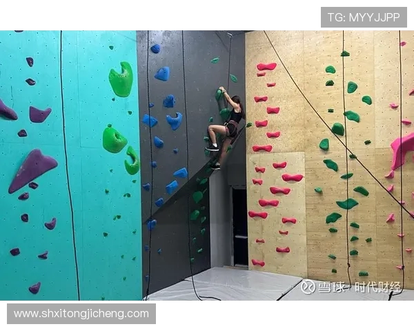 西安攀岩队的激情与挑战揭秘：探索攀岩运动的魅力与节奏