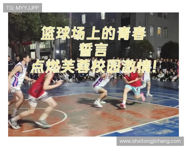 以篮球为纽带探索团队协作与青春激情在运动中绽放的力量