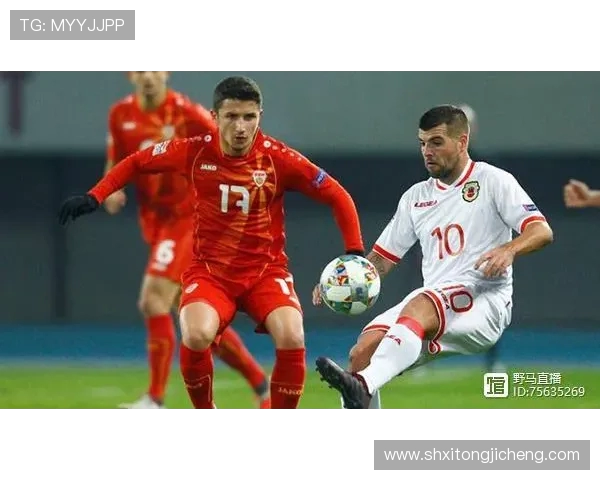 俄罗斯与土耳其对决前瞻分析及比赛结果预测探讨