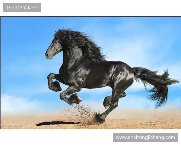 克罗托与罗马的激烈对决谁能在赛场上笑到最后