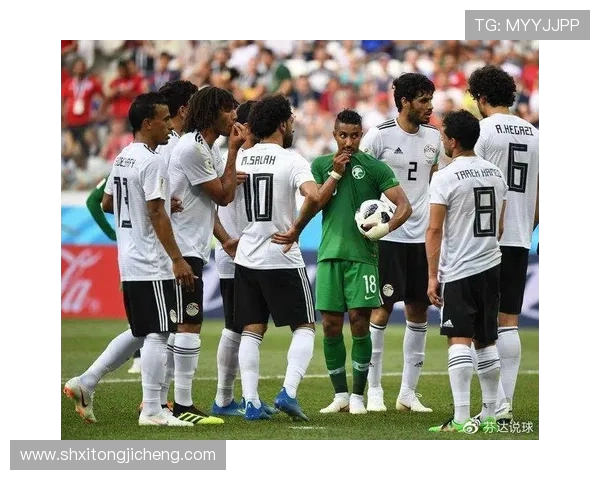 埃及与南非经济对比分析：发展模式与挑战探讨